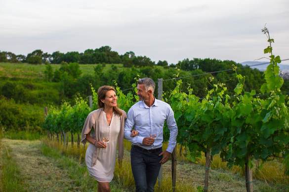 ©Lueftner Cruises-Amadeus Guest Experience Excursion Wine Tasting.jpg